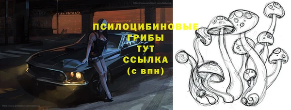 твердый Алексеевка