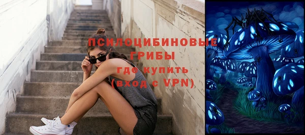 твердый Алексеевка