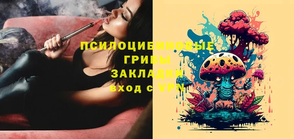 Альфа ПВП Алзамай