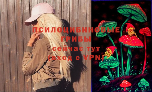 прущий лед Алексин
