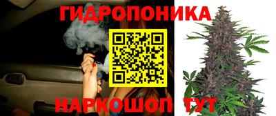 тгк Пыть-Ях