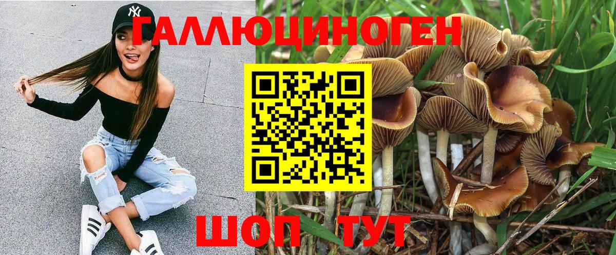 Псилоцибиновые грибы MAGIC MUSHROOMS  сколько стоит  Петровск  Вход с VPN 